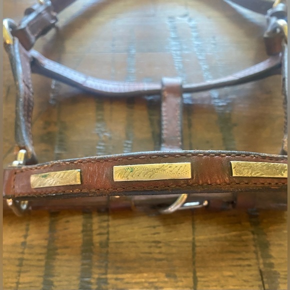 Vintage horse show halter (leather with sterling silver accents). Weanling size - Picture 4 of 12